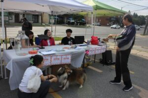 IMG_8746 IMG_8746