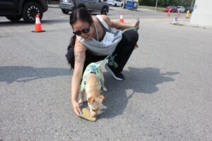 IMG_8764 IMG_8764
