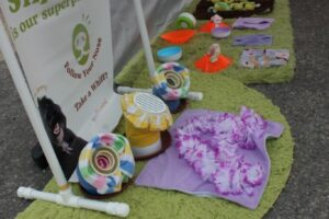 IMG_8800 IMG_8800