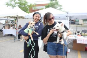 IMG_8822 IMG_8822