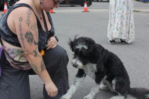 IMG_8849 IMG_8849