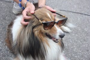 IMG_8876 IMG_8876