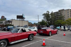 IMG_1893 IMG_1893