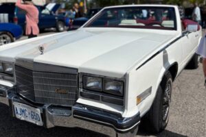 IMG_1960 IMG_1960