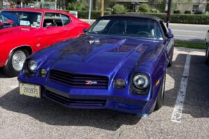 IMG_1977 IMG_1977