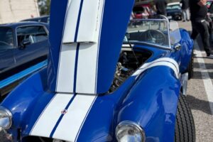 IMG_1981 IMG_1981