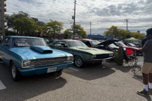 IMG_8664 IMG_8664
